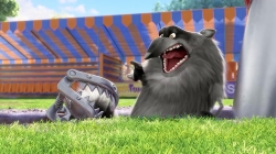 انیمیشن سانی بانیز قسمت 246 - sunny bunnies